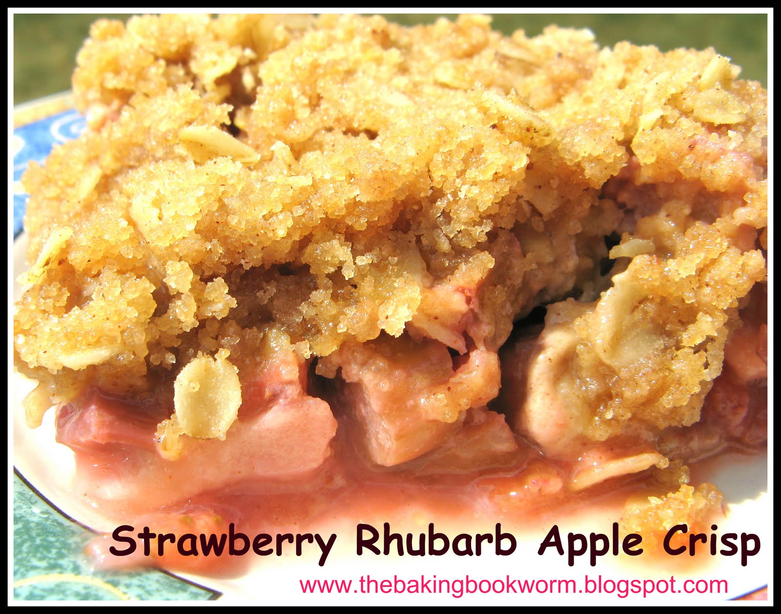 The Baking Bookworm Strawberry Rhubarb Apple Crisp