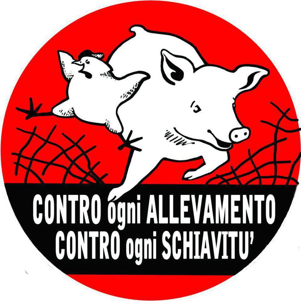 Autosufficienza work in progress! ATTACCA L'ADESIVO! Artesanato Com Feltro ~ Autosufficienza work in progress! ATTACCA L'ADESIVO!