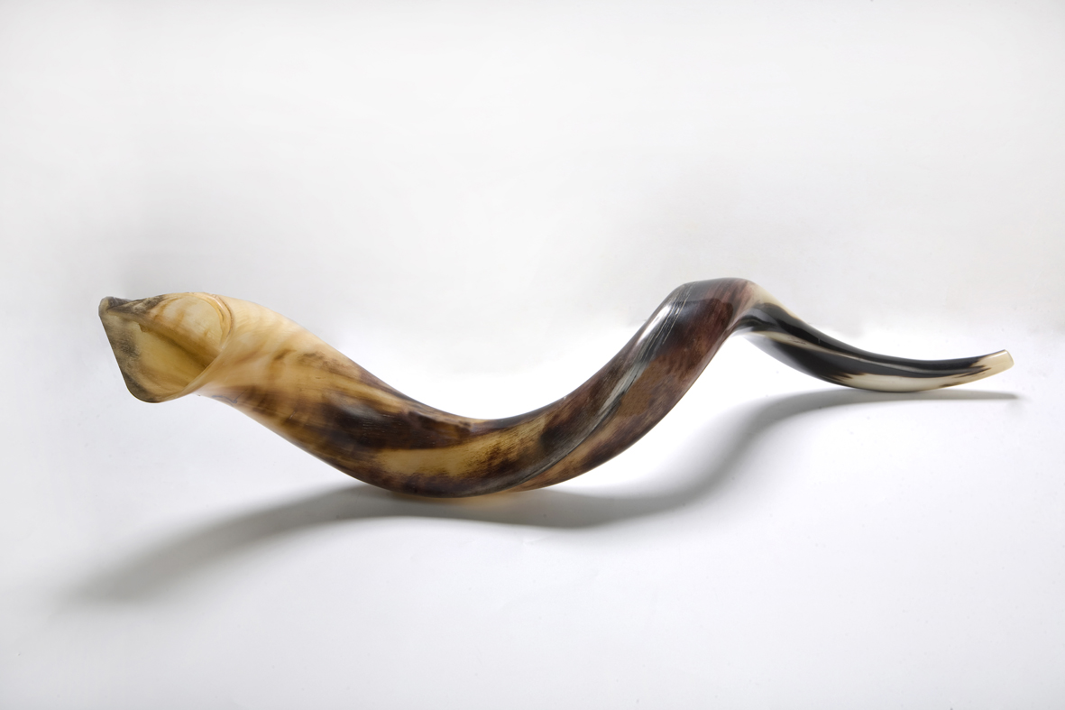 David Victor Vector Rosh HaShanah 2019