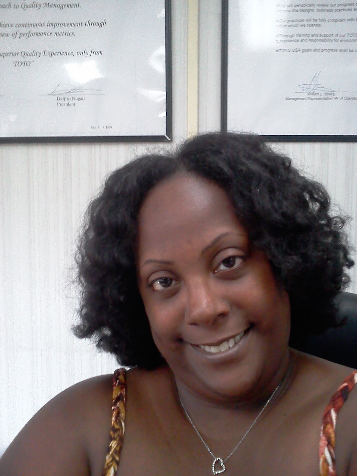 Caring For Natural Hair Flat Twist Out On Blow Dried Hair
