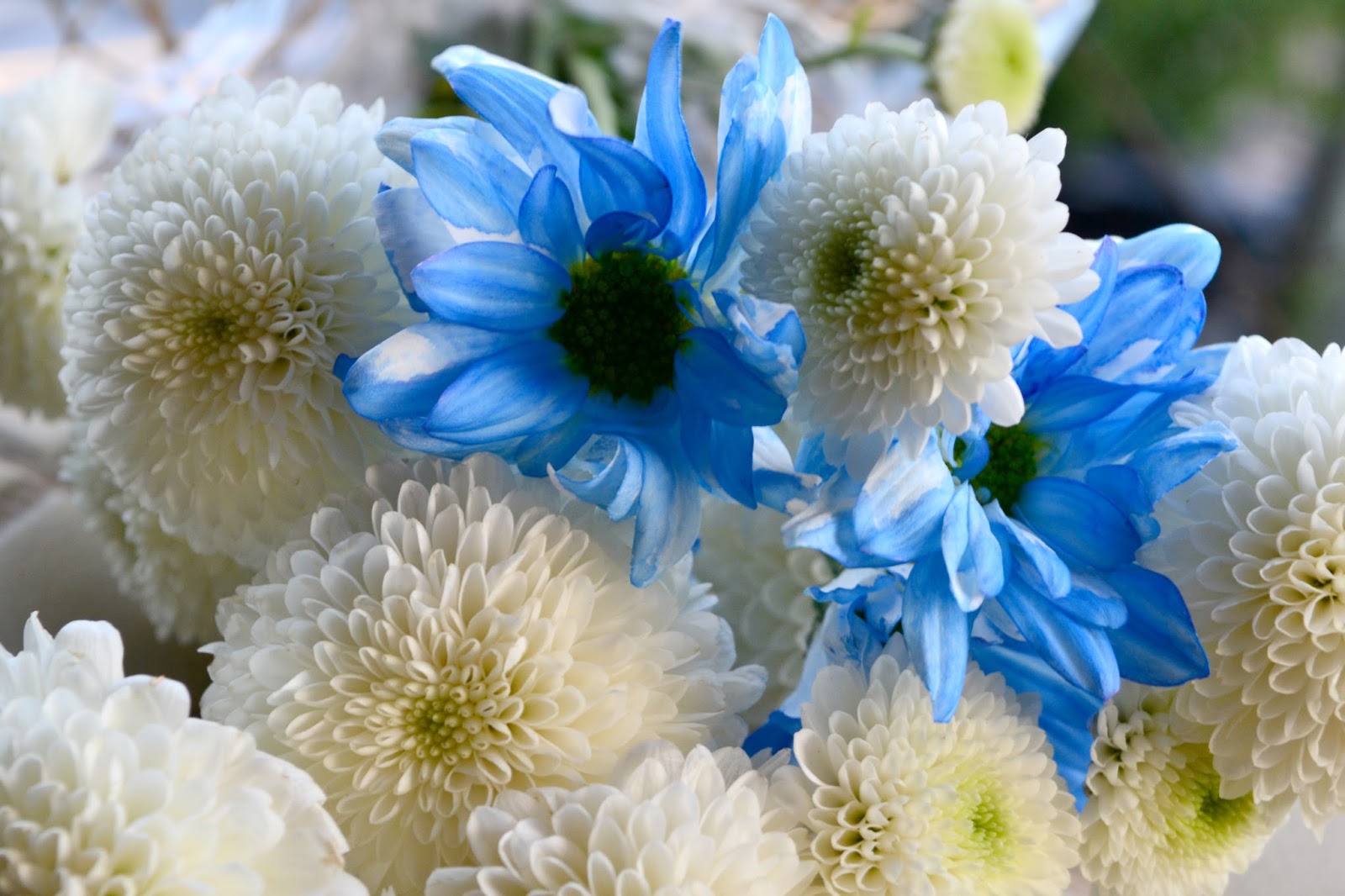 Resultado de imagen para flores del campo