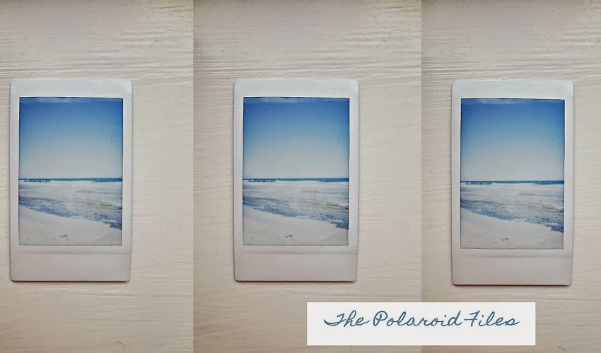 The Polaroid Files