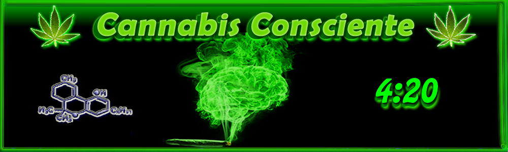 Cannabis Consciente