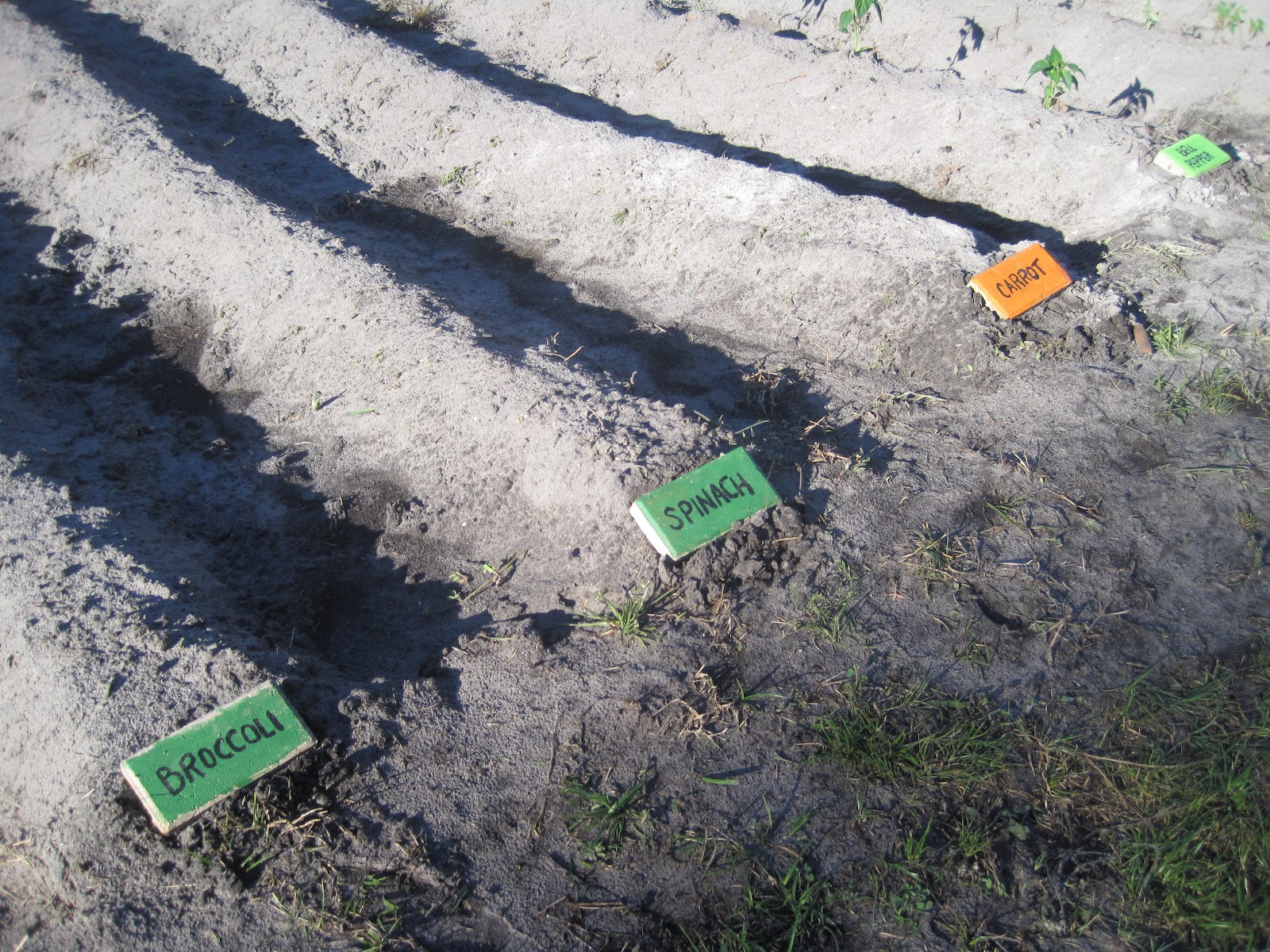 Ramblings from the Sunshine State Garden Row Markers