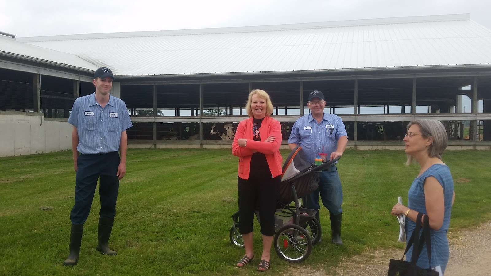 MI Gluten Free Gal What I learned on a dairy farm