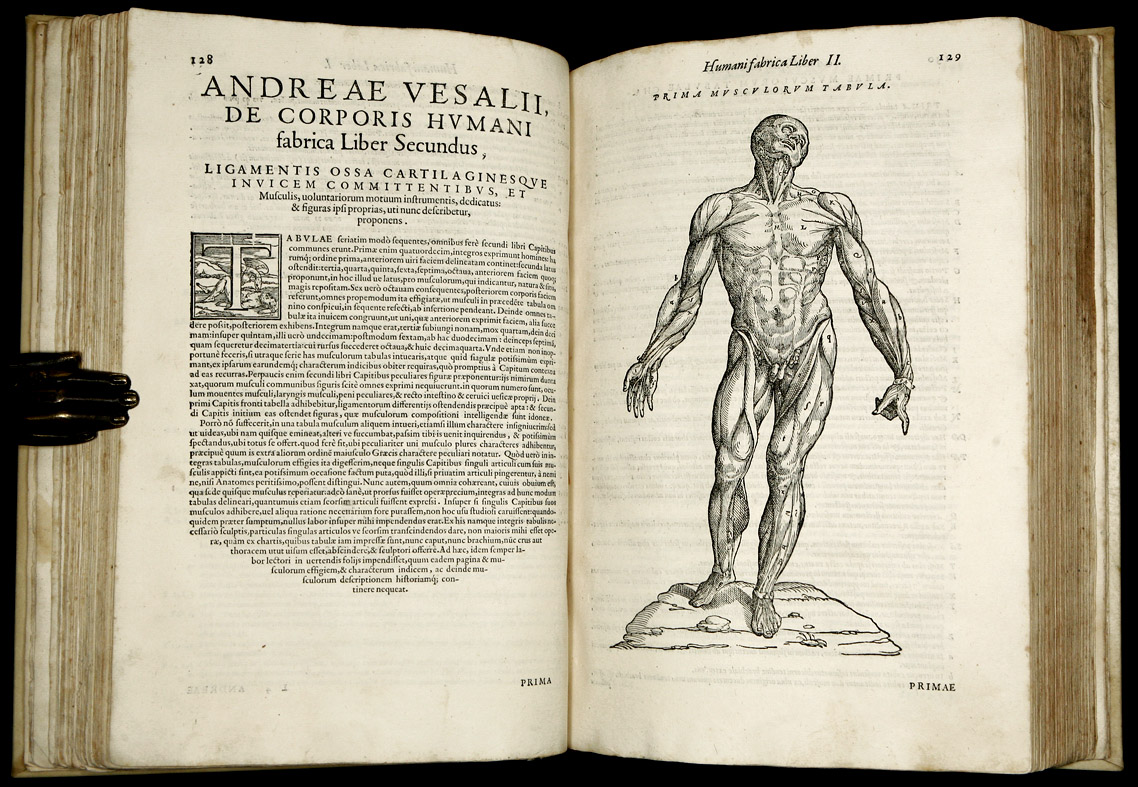 Institutionalized Freedom On the Fabric of the Human Body