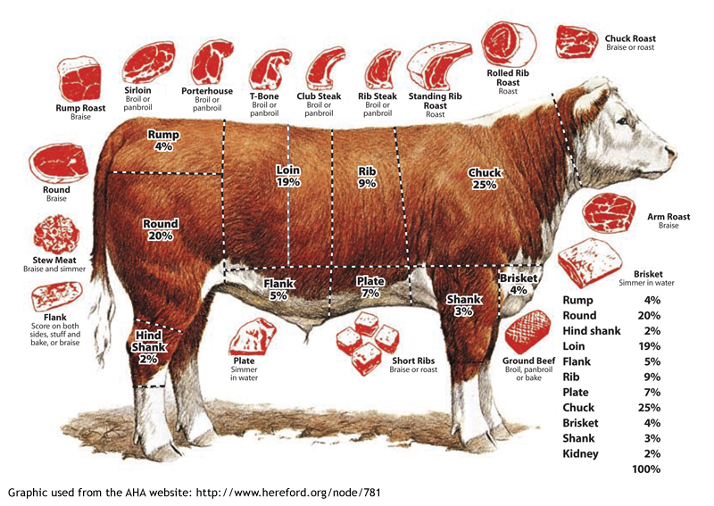 beef cuts cow