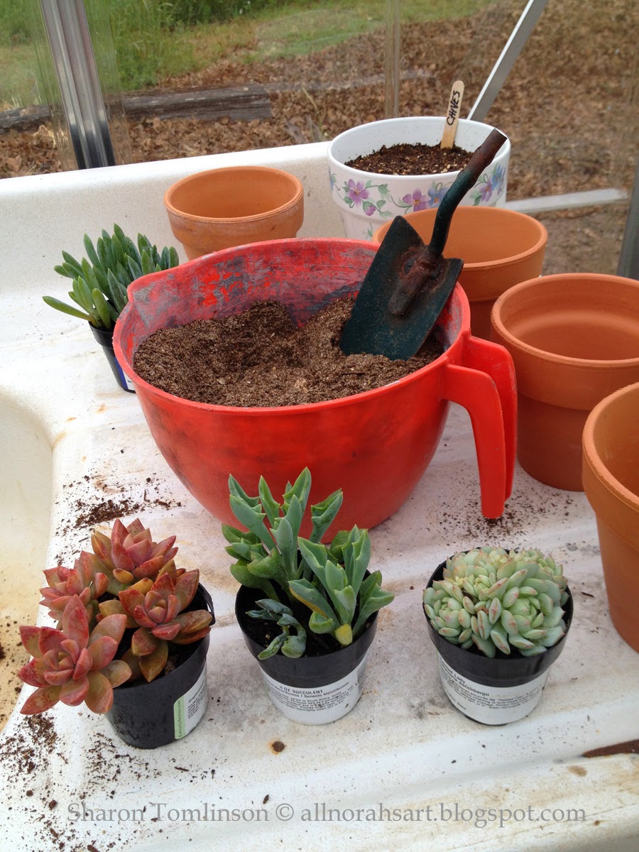 Repotting cactus by Sharon Tomlinson A tutorial