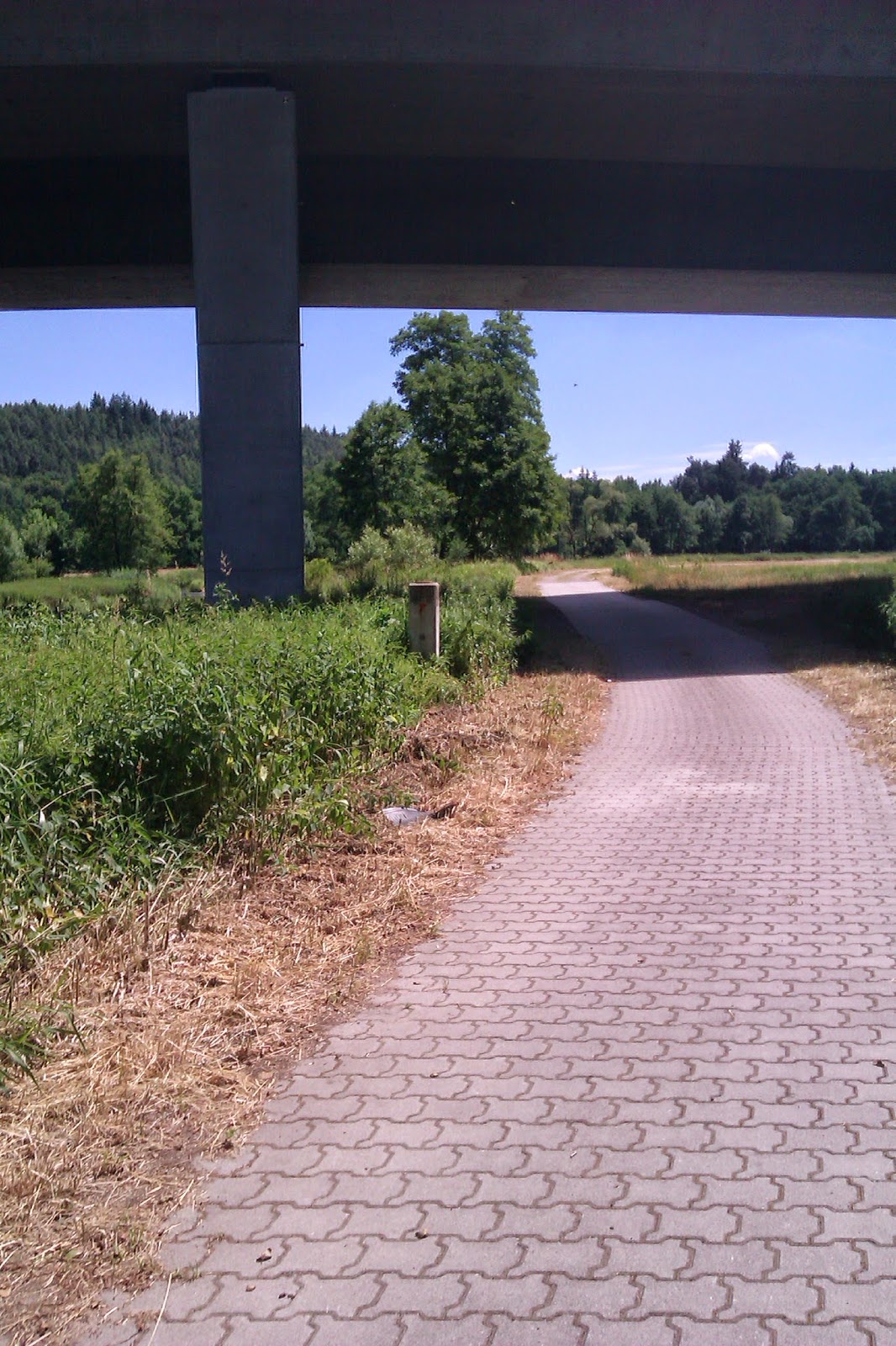Naabtalradweg beautiful pavement cycle way Naabtalradweg asphalt straßenpflaster