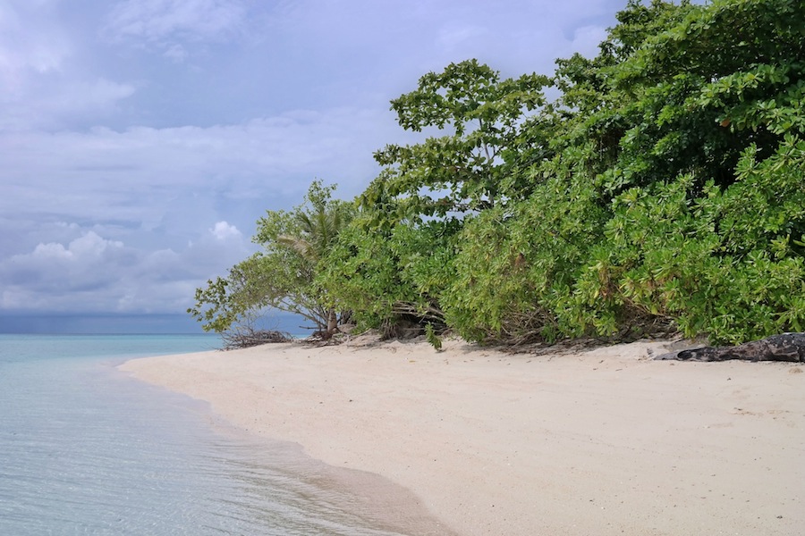 <a href="http://mataram.info/things-to-do-in-bali/visitindonesia-banda-marine-life-the-paradise-of-diving-topographic-point-inward-fundamental-maluku/">Indonesia</a>best destinations : Melihat Penyu Bertelur Di Pulau Sangalaki