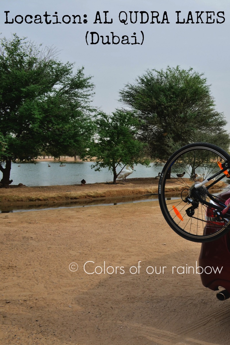 Colors of our Rainbow CAMPING WITH FAMILY IN UAE A Beginner's guide