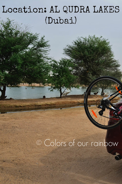 CAMPING WITH FAMILY IN UAE: A Beginner's guide @http://colorsofourrainbow.blogspot.ae/