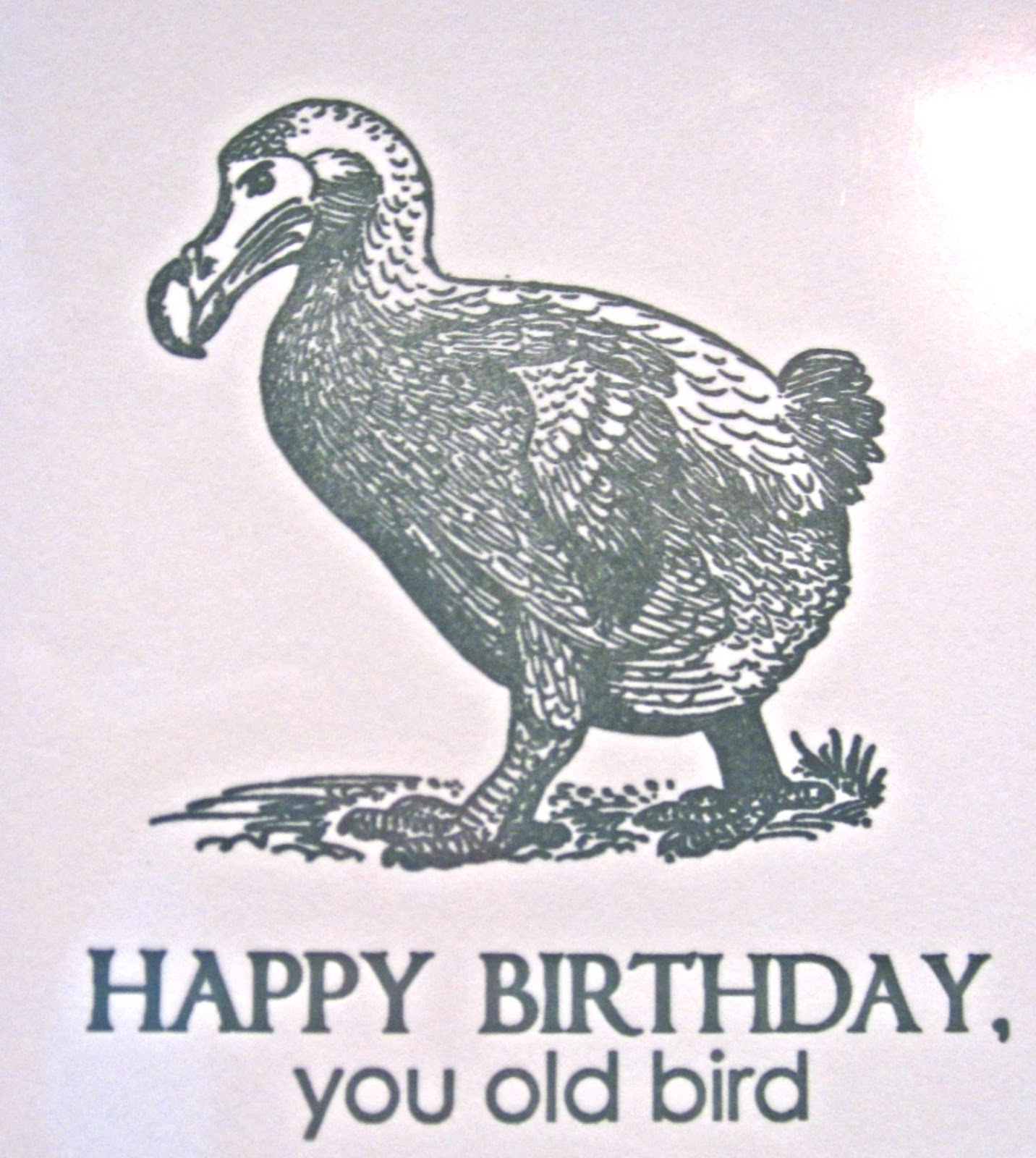 making the "bean dream" a reality