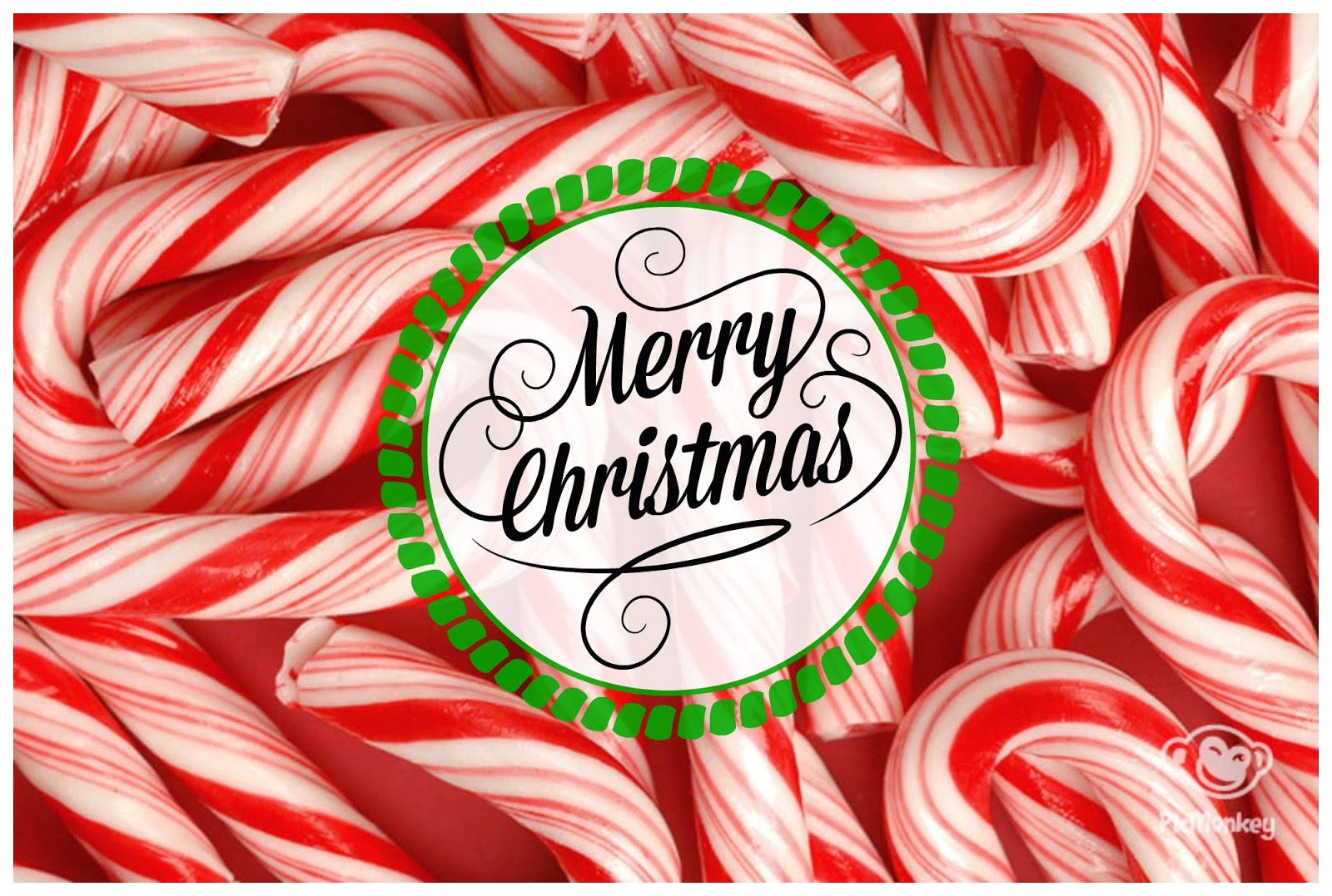 PEOPLE Merry Christmas Everyone! The Entrepreneur Forum Talk