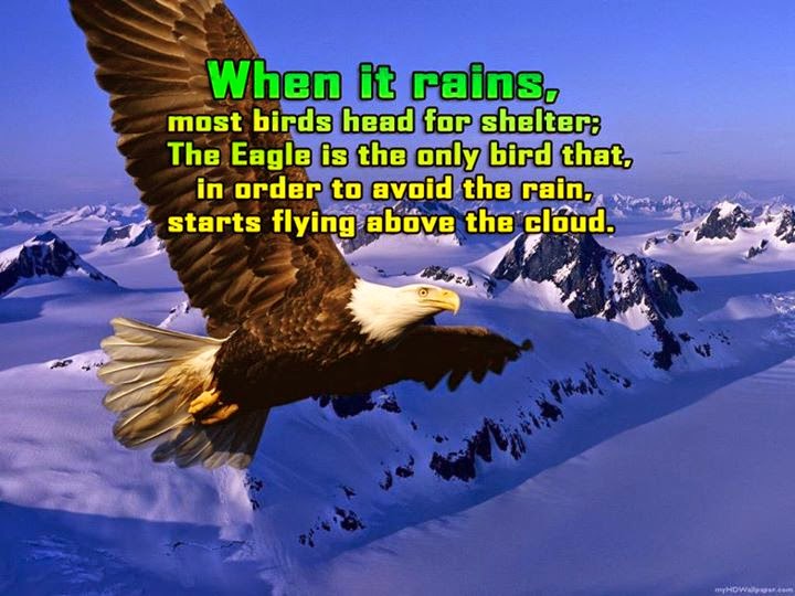 When it rains , most birds head for shelter; The eagle is the only bird that,in order to avoid