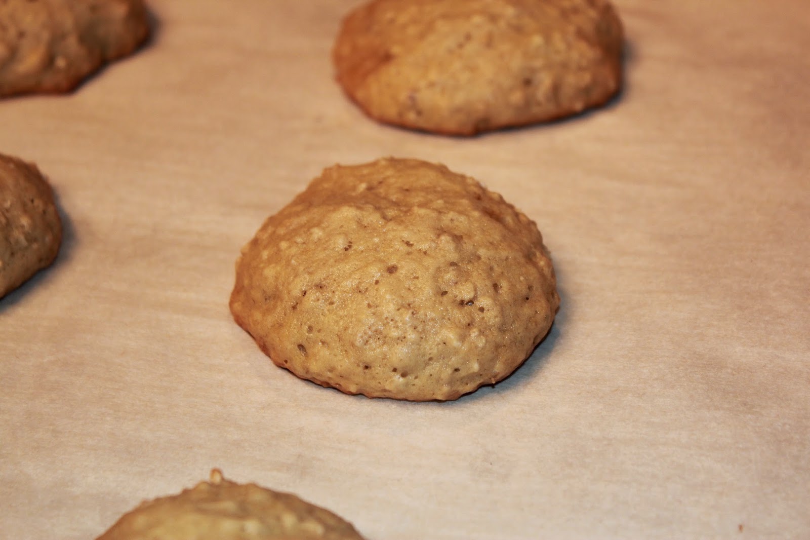 Michelle's Tasty Creations Banana Oatmeal Cookies