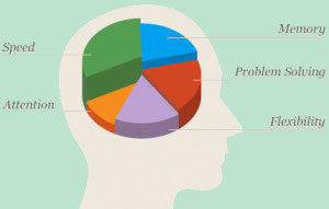 Luminosity Speed Brain Game App: Brain Allocation-Partition Areas