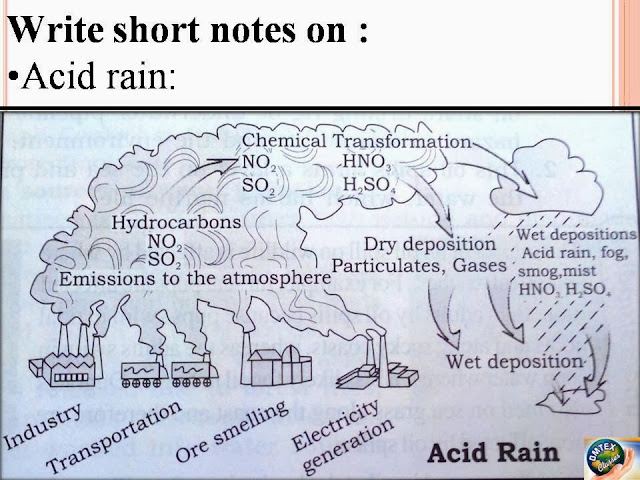 Acid rain effects picture