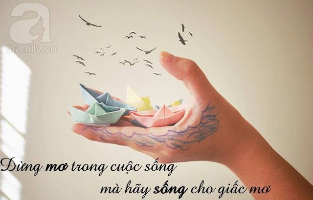 Những câu nói hay về cuộc sống, nhung cau noi hay