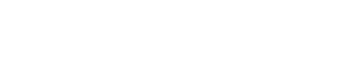 RealRacing