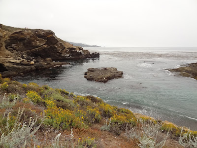 Point Lobos State Park California