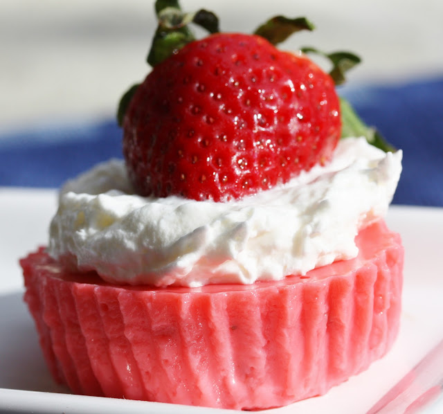 Best of Long Island and Central Florida Strawberry Yogurt Bites