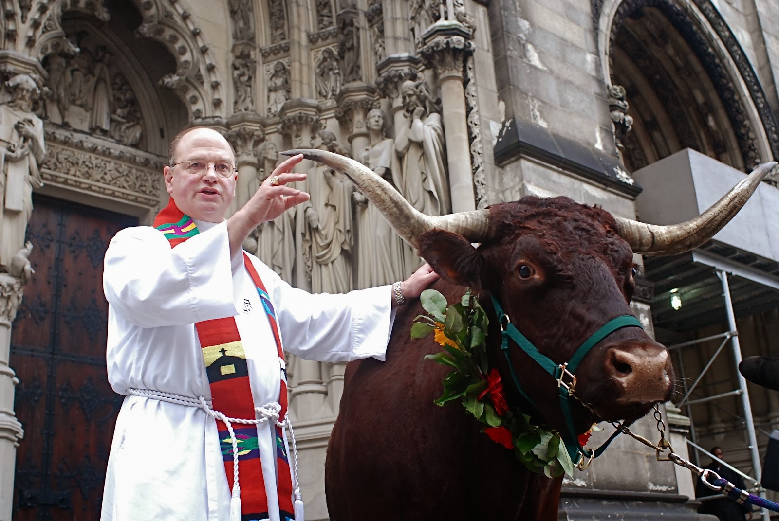 NYC ♥ NYC Holy Cow! The Feast of St. Francis and Blessing of the Animals at the Cathedral of St