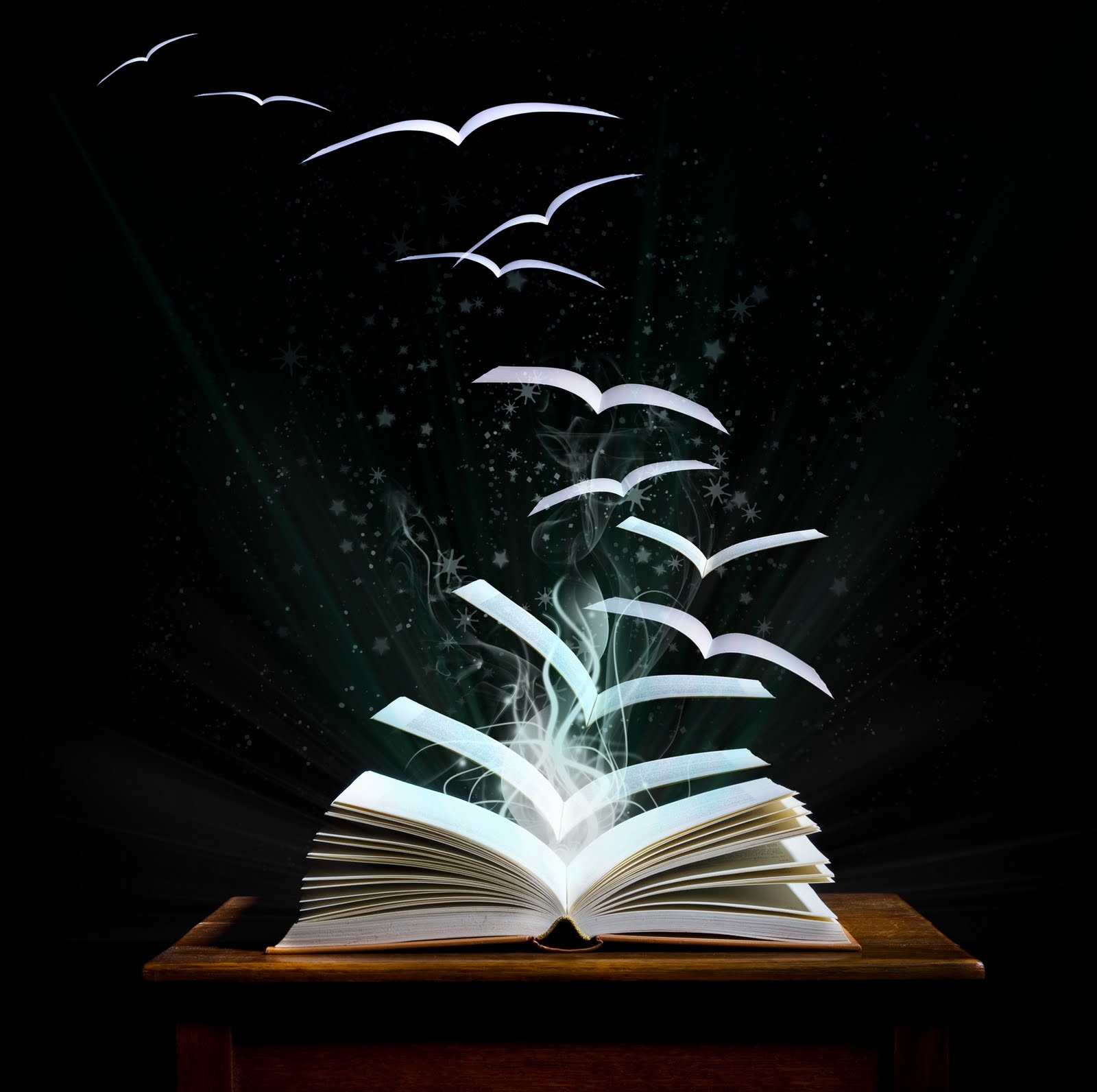 Book Magic