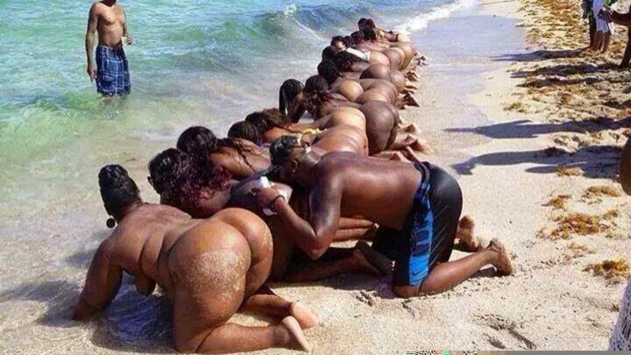 Gangbang african girl suck cock on beach