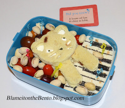 Keyboard cat bento Keyboard cat bento