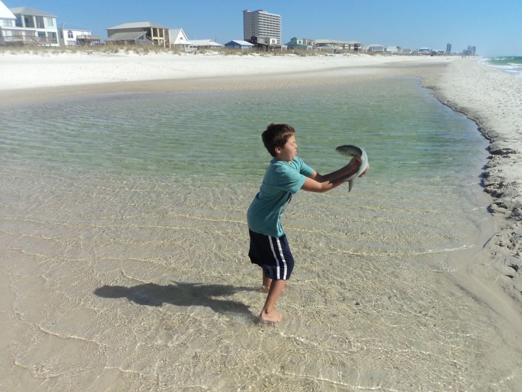 Herman Brothers Blog Gulf Shores Day Five