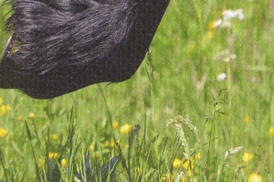 Test: Foto op canvas © Hypo Focus Test: Foto op canvas © Hypo Focus