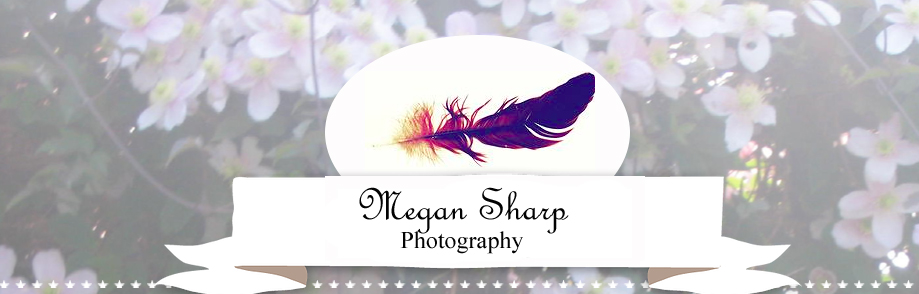 Sharp Photography