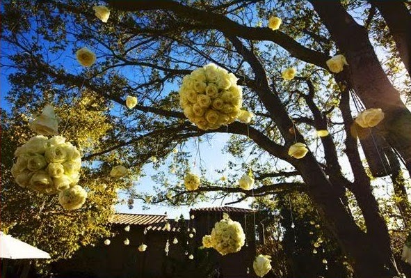 romantic yellow poms for outdoor decor big tree nature