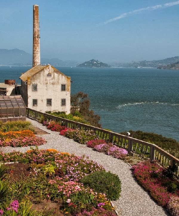 terraço e estufa