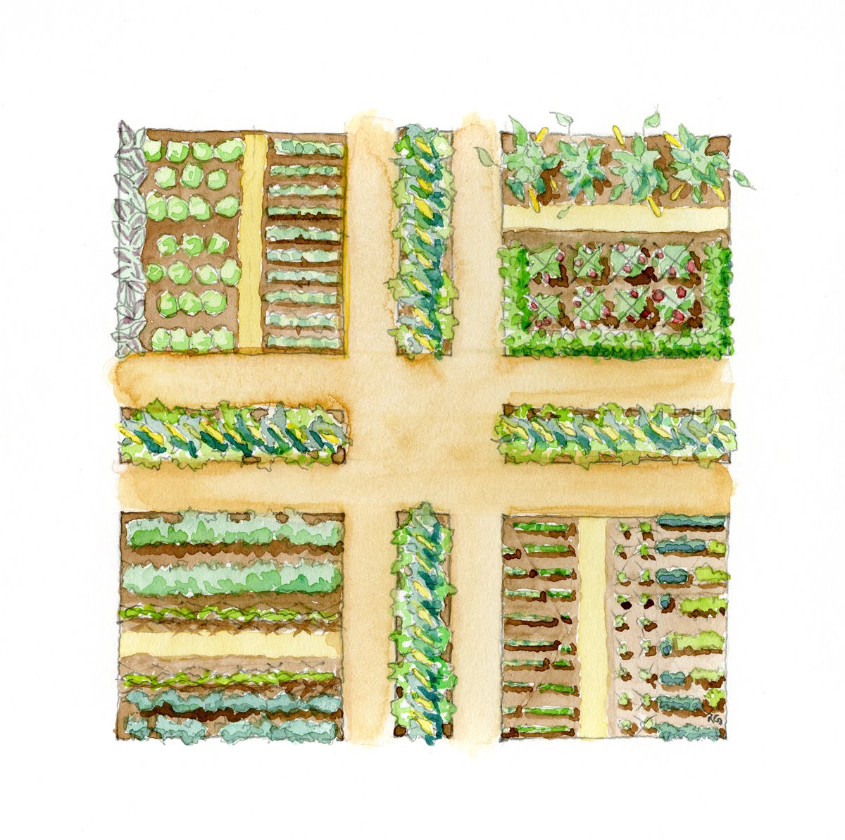 soil before seeds