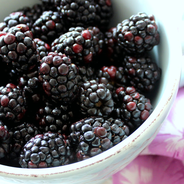 Italian Girl in Blackberries for Breakfast