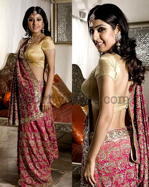 Jari Embroidery Classy Sari