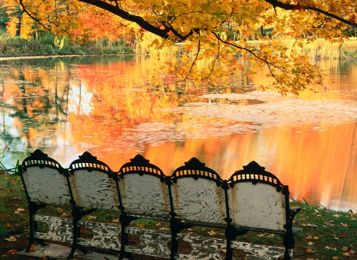 http://4.bp.blogspot.com/-D65rgOFO2HM/T9hsKqyZLiI/AAAAAAAAEEM/YzFd3Ud4pkU/s1600/nature+wallpaper+(15).jpg