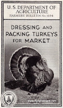 Dressing and Packing<br>Turkeys for Market (1932)