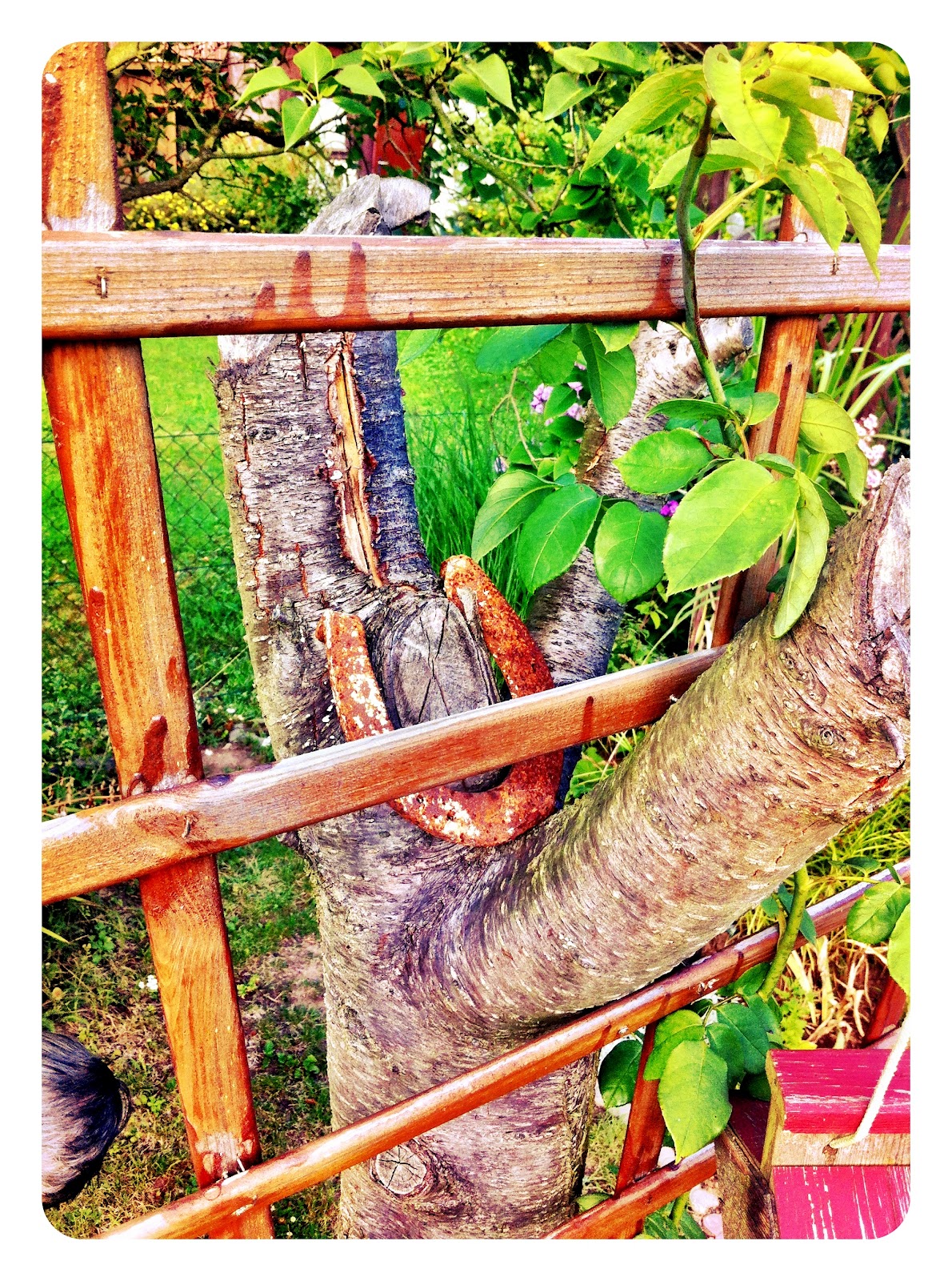 Serendipity is Life: Verzauberter Garten