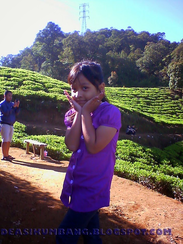 Wisata Kebun Raya Cibodas di Kaki Gunung Gede - deasikumbang