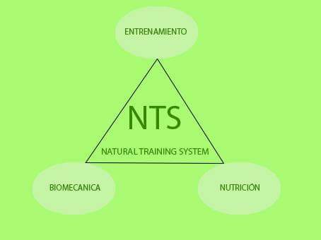 Sistema NTS , Natural Training System