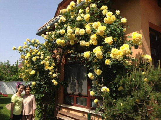 [Image: khu-vuon-nguoi-phu-nu-hue-o-hungari-3.jpg]