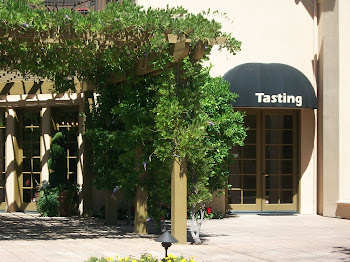 Winery tasting room