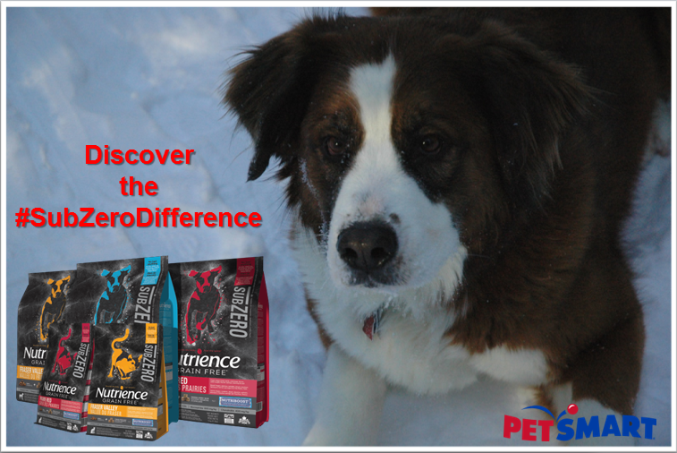 Paws for Reaction High quality pet food made in Canada Discover the 
