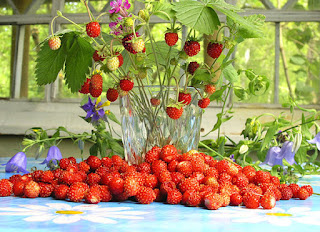 blogger-kartinki-i-faviicon-video-urok-03