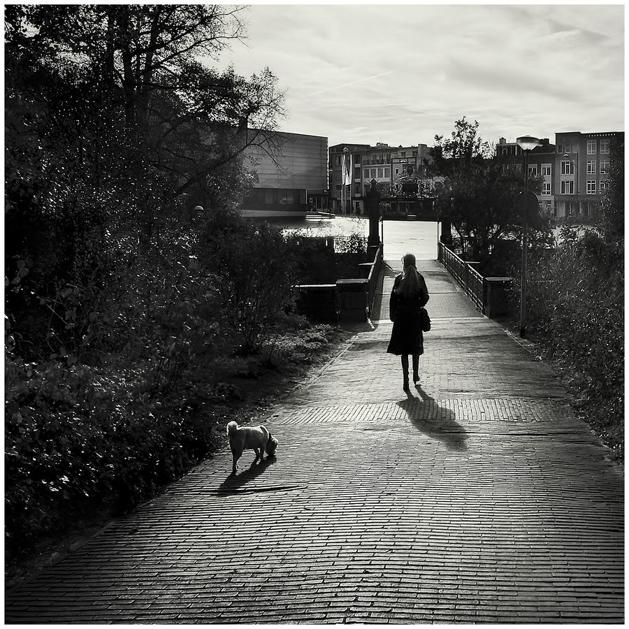 Fotografie