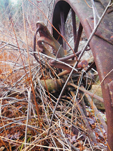 Rusting farm equipment