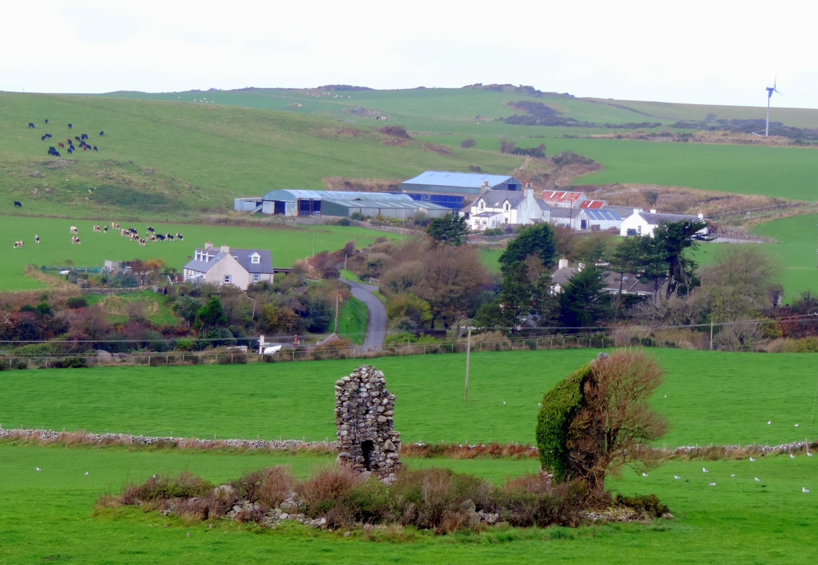 The Glebe Blog Wigtownshire Ramblers Auchenmalg November 2013